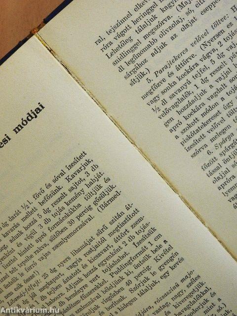 Magyar úriasszony háztartása