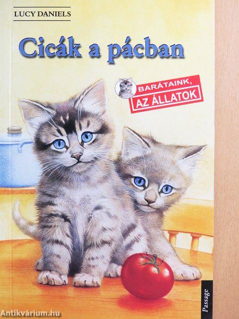 Cicák a pácban