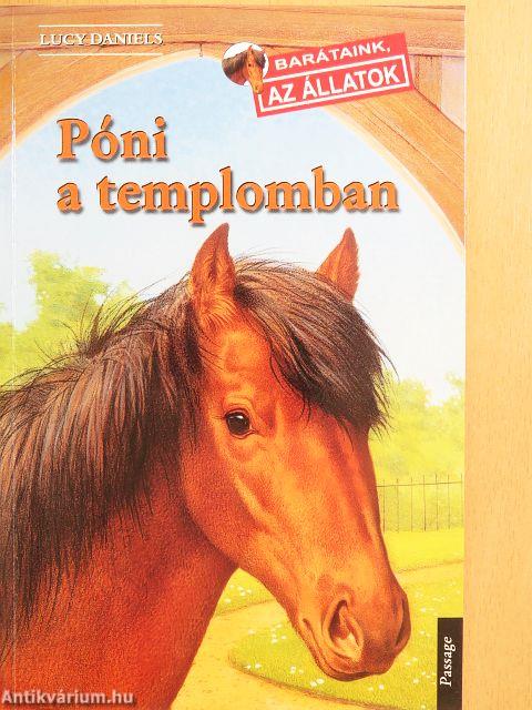 Póni a templomban