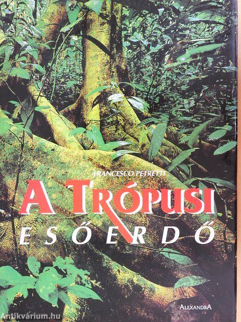 A Trópusi esőerdő