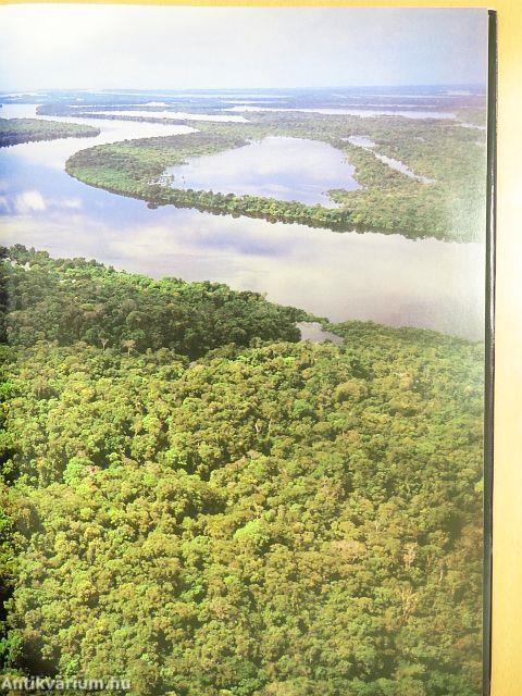 A Trópusi esőerdő