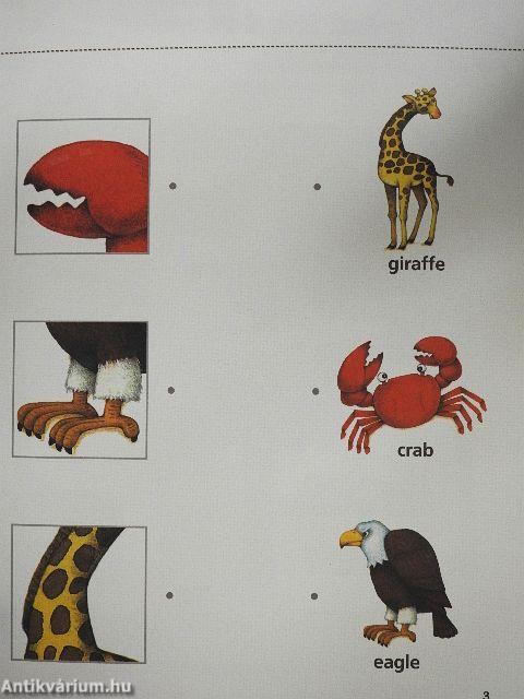 Work Book 2