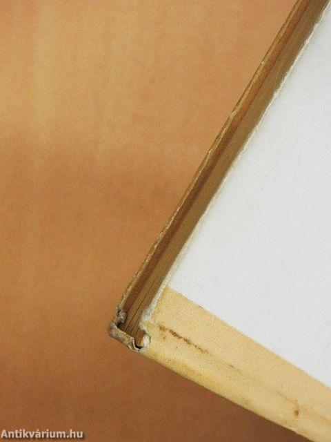 Magyarok és bolgárok