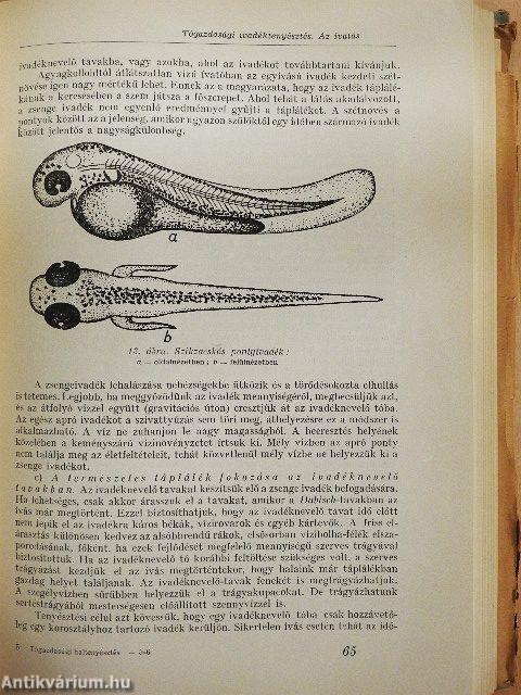 Tógazdasági haltenyésztés II.