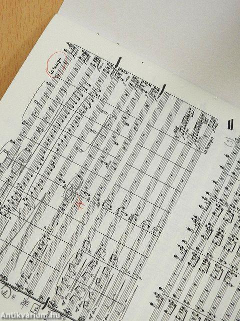 Tragische Ouvertüre für Orchester/Tragic Overture for Orchestra