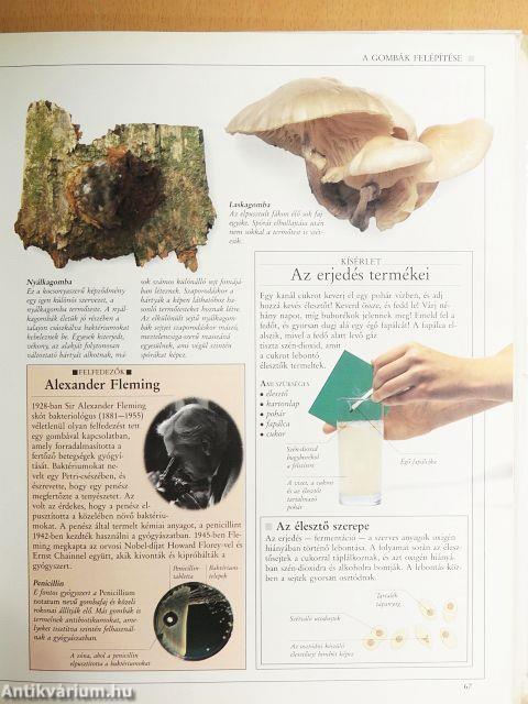 Barangolás a természet világában