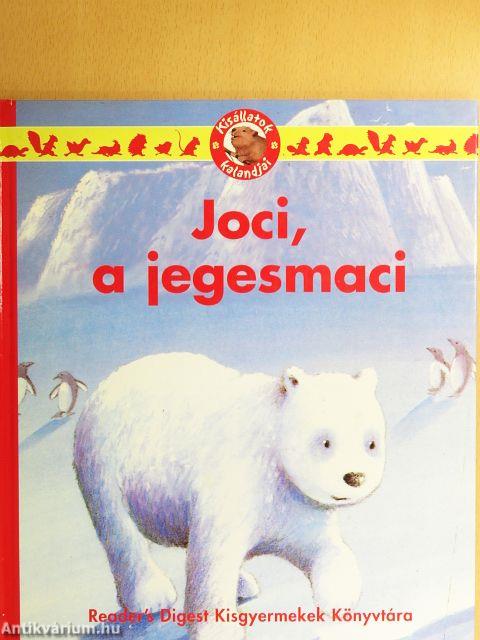Joci, a jegesmedve