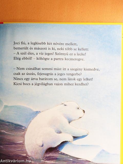 Joci, a jegesmedve