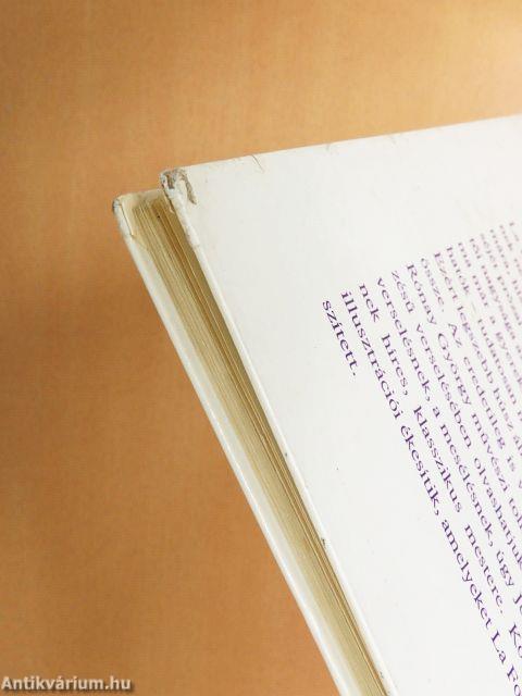 A tücsök és a hangya