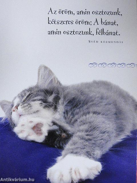 A szépség harmónia