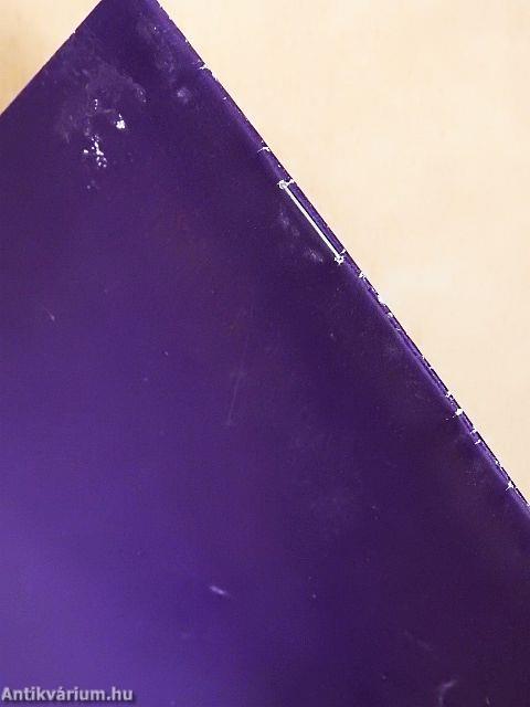 Az Isteni Irgalmasság rózsafüzére a Te mentséged