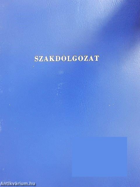 Az ifjúság művelődésének lehetőségei, feladatai a szakmunkássá válástól a családalapításig, Szeged városi tapasztalatok alapján