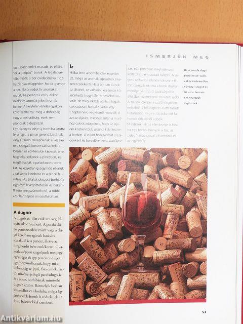 A borkóstolás