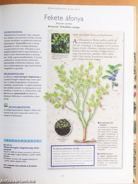 A természet füvészkertje