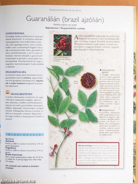 A természet füvészkertje