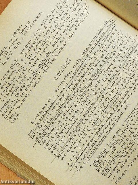 Magyar nyelv a tanítóképző főiskolák részére