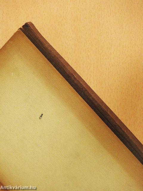 A volokalámszki országút