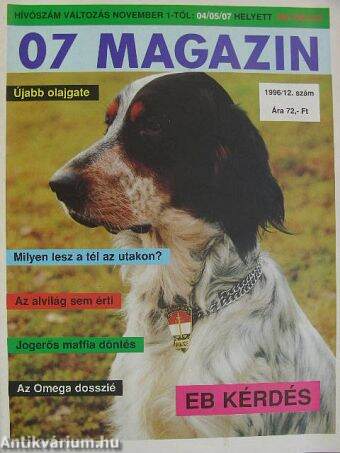 07 Magazin 1996/12.