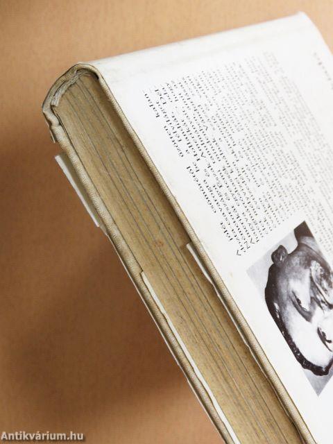 Vész és kaland/Őserdő