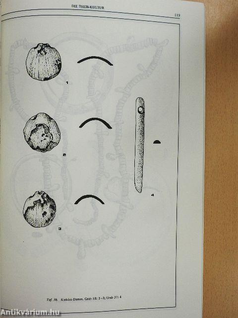 Die Theiß-Kultur in der Mittleren und Nördlichen Theißgegend/Über die Laboruntersuchung von Menschlichen Skelettresten aus dem Fundort von Kisköre-Damm