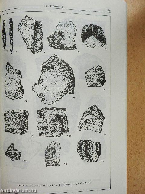 Die Theiß-Kultur in der Mittleren und Nördlichen Theißgegend/Über die Laboruntersuchung von Menschlichen Skelettresten aus dem Fundort von Kisköre-Damm