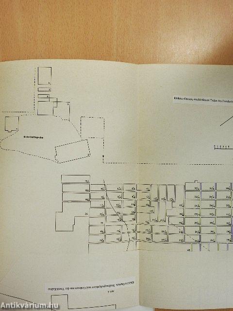 Die Theiß-Kultur in der Mittleren und Nördlichen Theißgegend/Über die Laboruntersuchung von Menschlichen Skelettresten aus dem Fundort von Kisköre-Damm