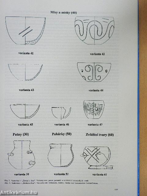 Dve Pohrebiste Neolitického Lidu S Lineární Keramikou Ve Vedrovicích Na Morave/Zwei Gräberfelder Des Neolithischen Volkes mit Linearbandkeramik In Vedrovice In Mähren