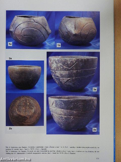 Dve Pohrebiste Neolitického Lidu S Lineární Keramikou Ve Vedrovicích Na Morave/Zwei Gräberfelder Des Neolithischen Volkes mit Linearbandkeramik In Vedrovice In Mähren