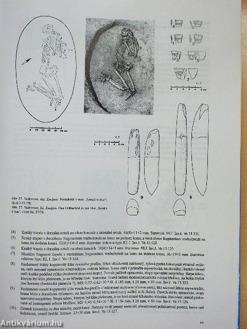 Dve Pohrebiste Neolitického Lidu S Lineární Keramikou Ve Vedrovicích Na Morave/Zwei Gräberfelder Des Neolithischen Volkes mit Linearbandkeramik In Vedrovice In Mähren
