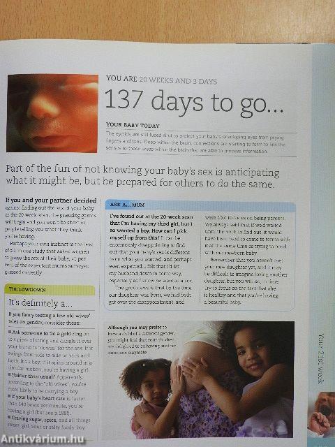 The Day-by-Day Pregnancy Book