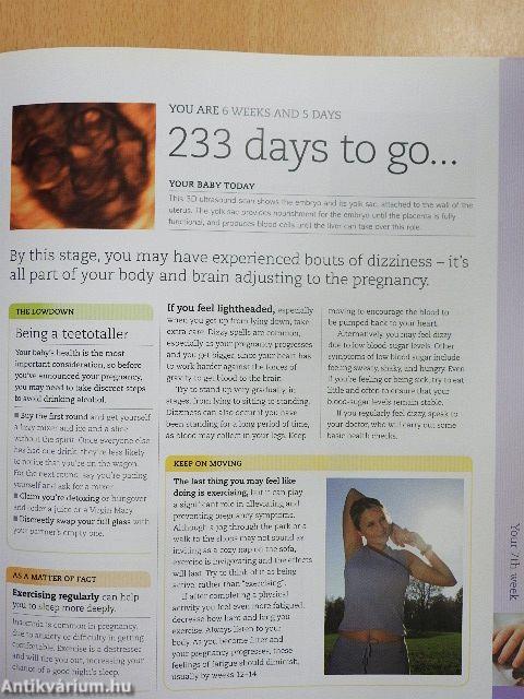 The Day-by-Day Pregnancy Book