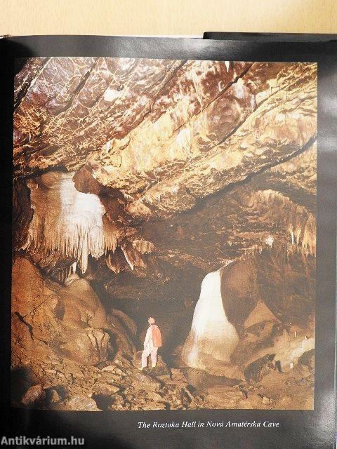 The Moravian Karst