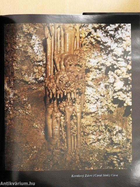 The Moravian Karst