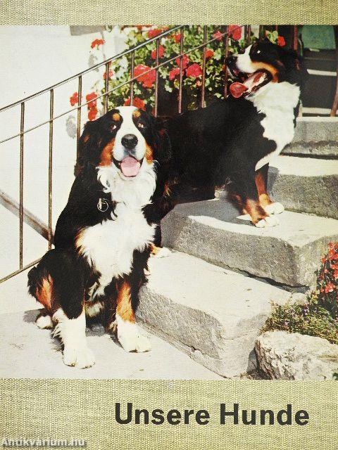 Unsere Hunde
