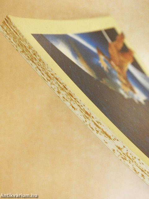 Közvetlen kapcsolat