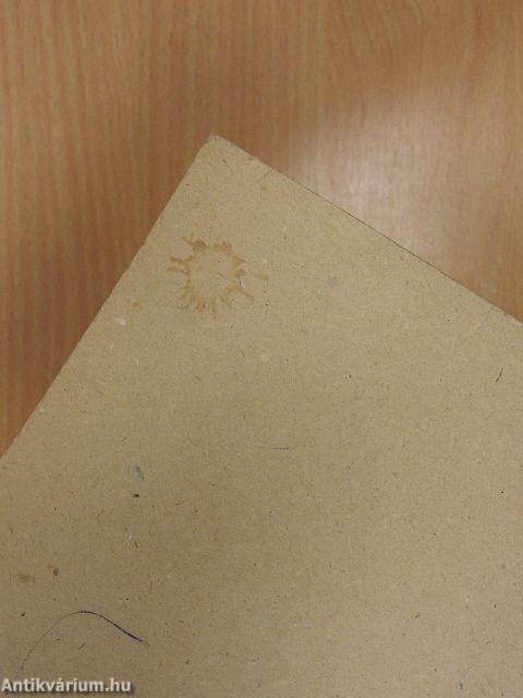 Magyar nyelv a tanítóképző főiskolák részére