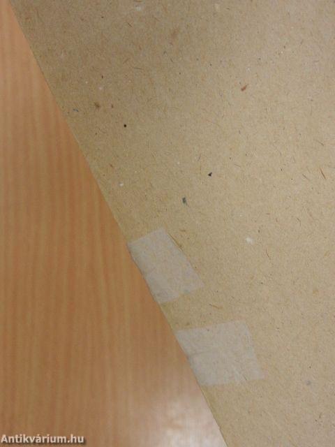 Magyar nyelv a tanítóképző főiskolák részére