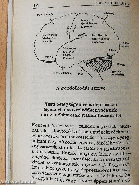 Mindennapi memóriánk