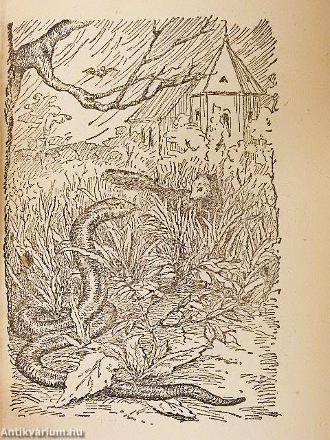 A dzsungel könyve I-II.