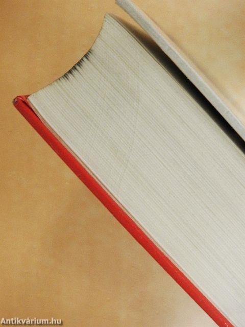 Francia-magyar kéziszótár