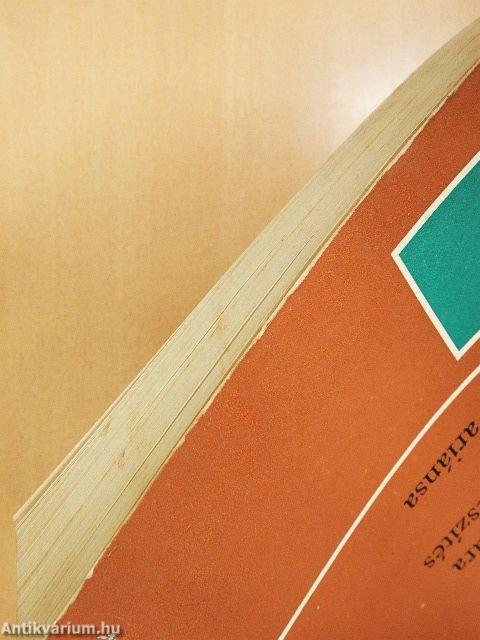 A napközi otthoni nevelőmunkára felkészítés egy variánsa