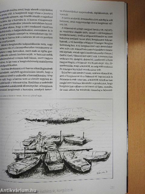 Hej halászok, horgászok és az ő cselekedeteik Fejér megyében