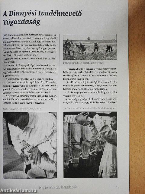 Hej halászok, horgászok és az ő cselekedeteik Fejér megyében