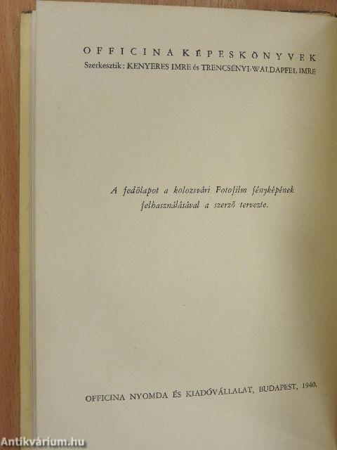 Kolozsvári képeskönyv