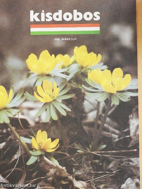 Kisdobos 1988. március