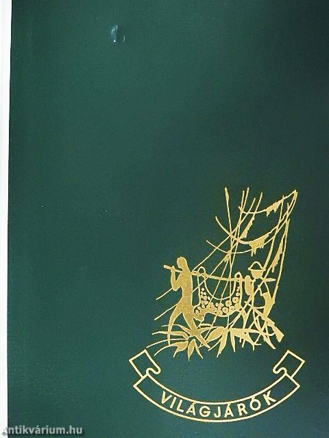 Pálmakunyhó az őserdőben