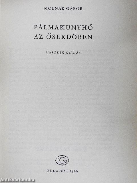 Pálmakunyhó az őserdőben