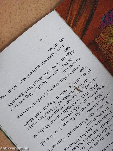 Táró kalandjai a hegyek országában