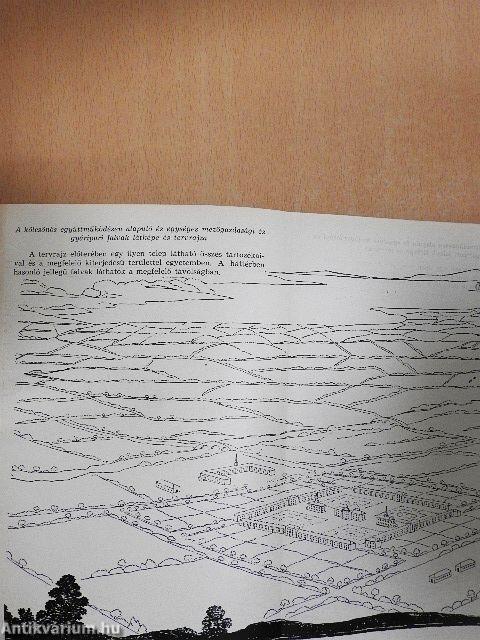 Nevelés és társadalom