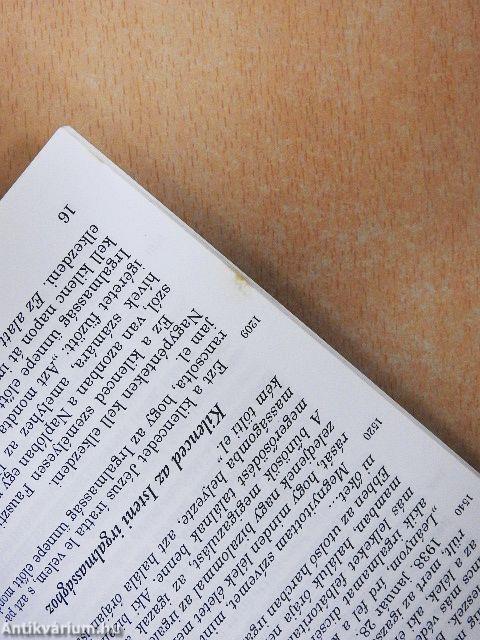 Az isteni irgalmasság a te reményed és mentséged